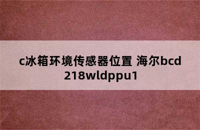 海尔bcd218a/c冰箱环境传感器位置 海尔bcd218wldppu1